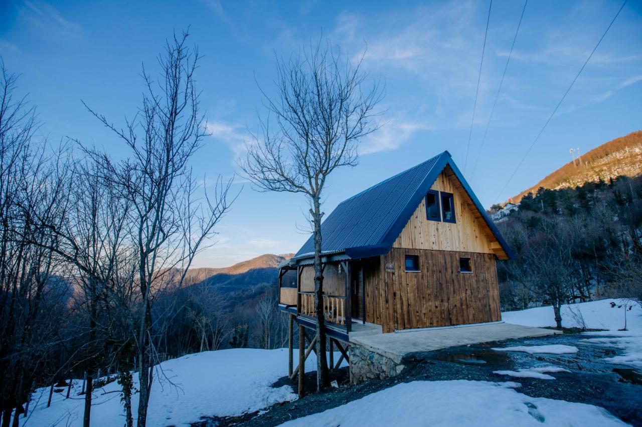Villa Maksudiye Selale Tatil Koyu à Geyve Extérieur photo